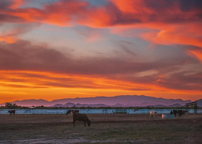 Nude Glamping Dome Farm stay Willcox